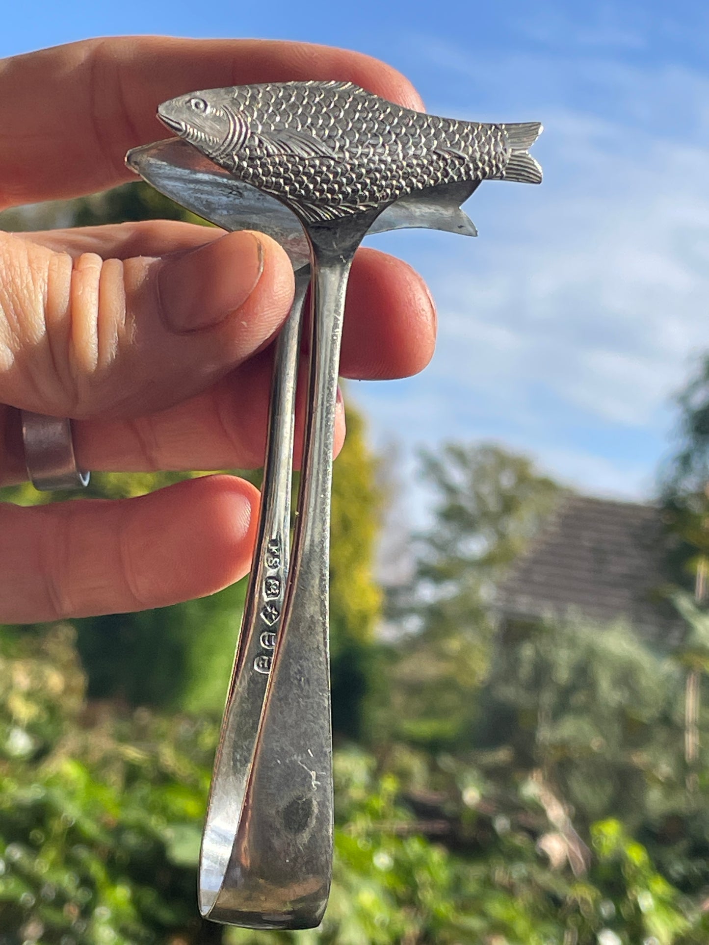 Pair of silver plated Antique Sardine Servers/Tongs - 11.5cm Long