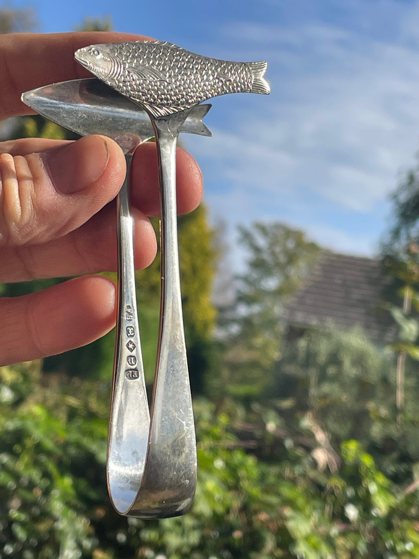 Pair of silver plated Antique Sardine Servers/Tongs - 11.5cm Long