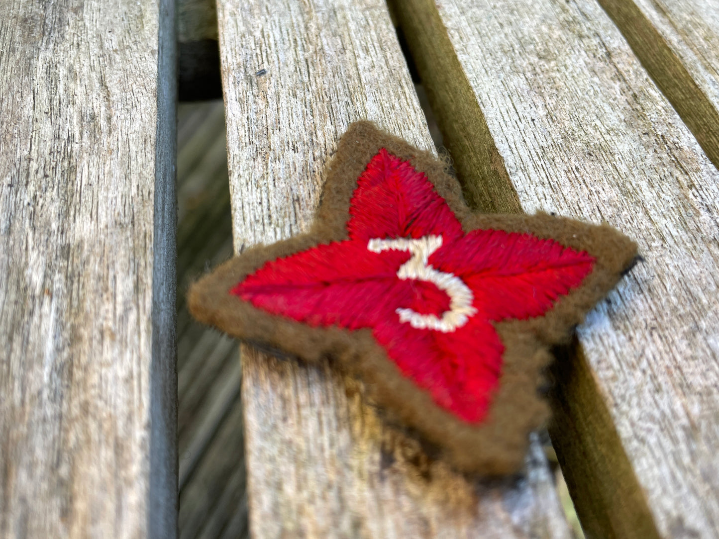 Two vintage Army cadet Force cloth badges