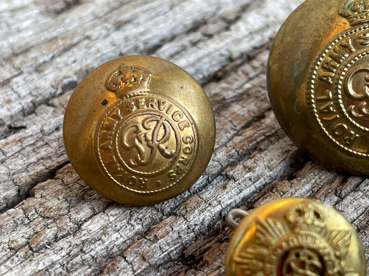 Royal Army Service and Rifle Corps uniform buttons J R Gaunt