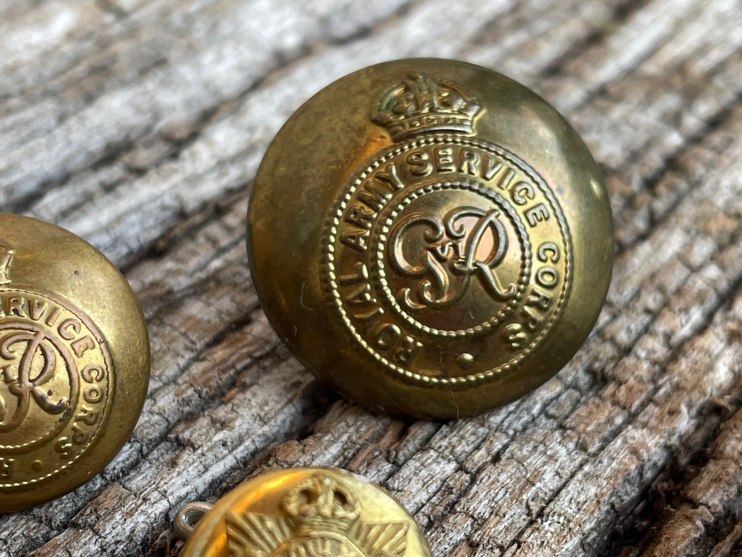 Royal Army Service and Rifle Corps uniform buttons J R Gaunt