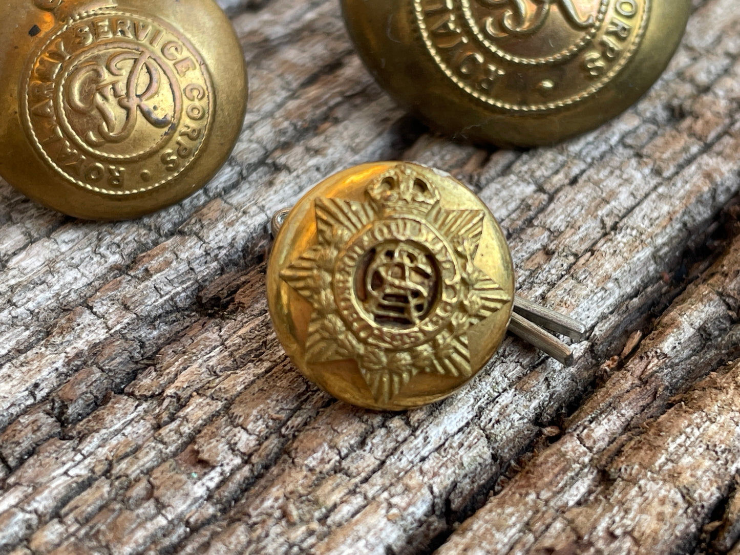 Royal Army Service and Rifle Corps uniform buttons J R Gaunt