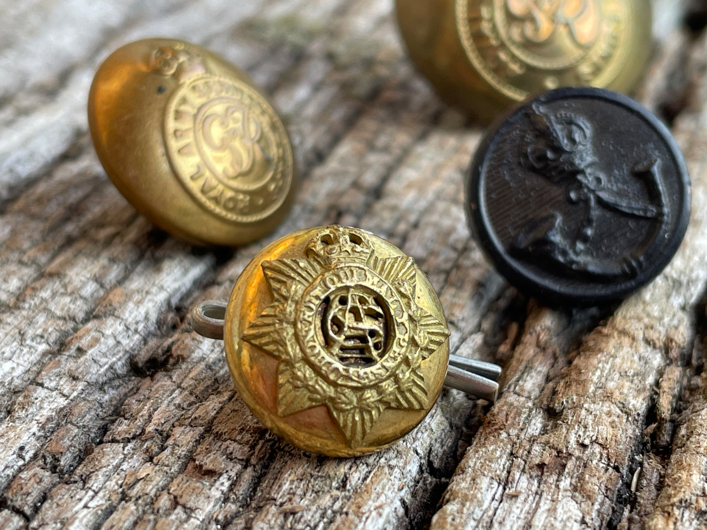 Royal Army Service and Rifle Corps uniform buttons J R Gaunt