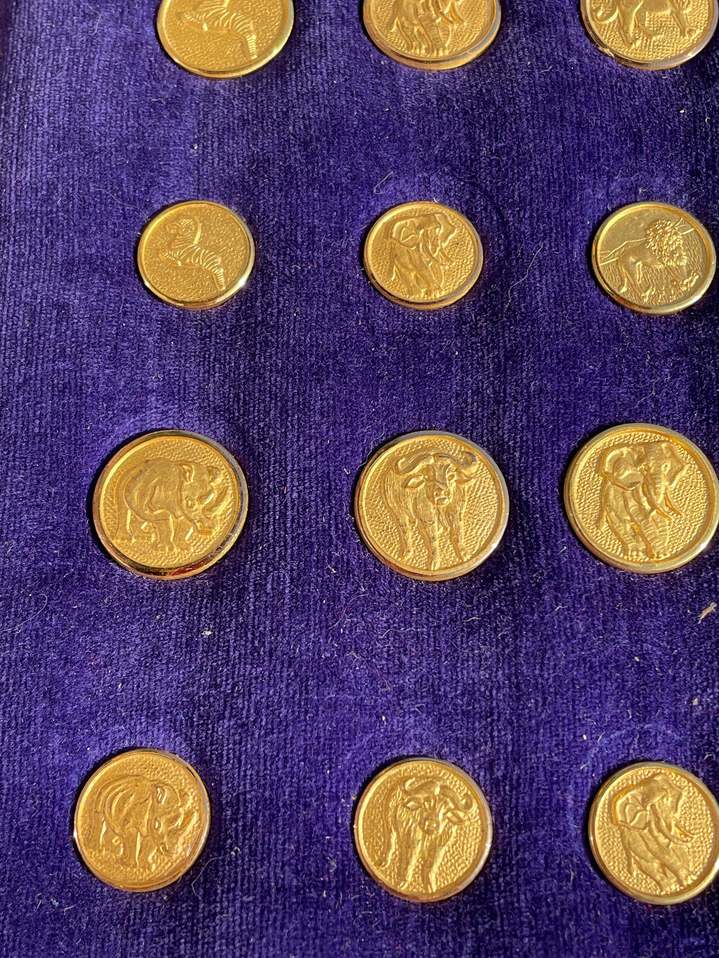 African wild animal buttons zebra, lion, rhino, elephant, buffalo and leopard in brass and pewter -25 no.