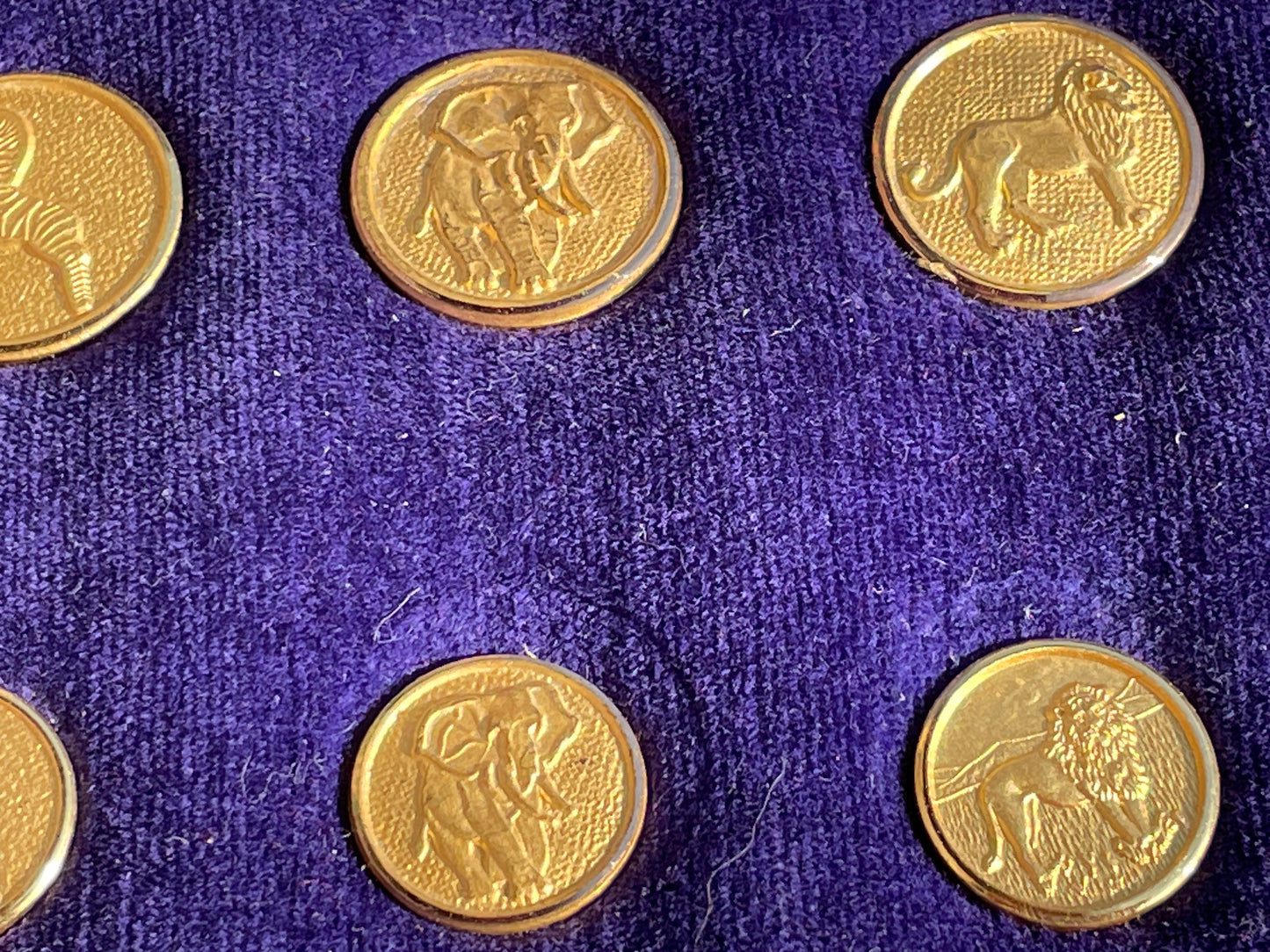 African wild animal buttons zebra, lion, rhino, elephant, buffalo and leopard in brass and pewter -25 no.