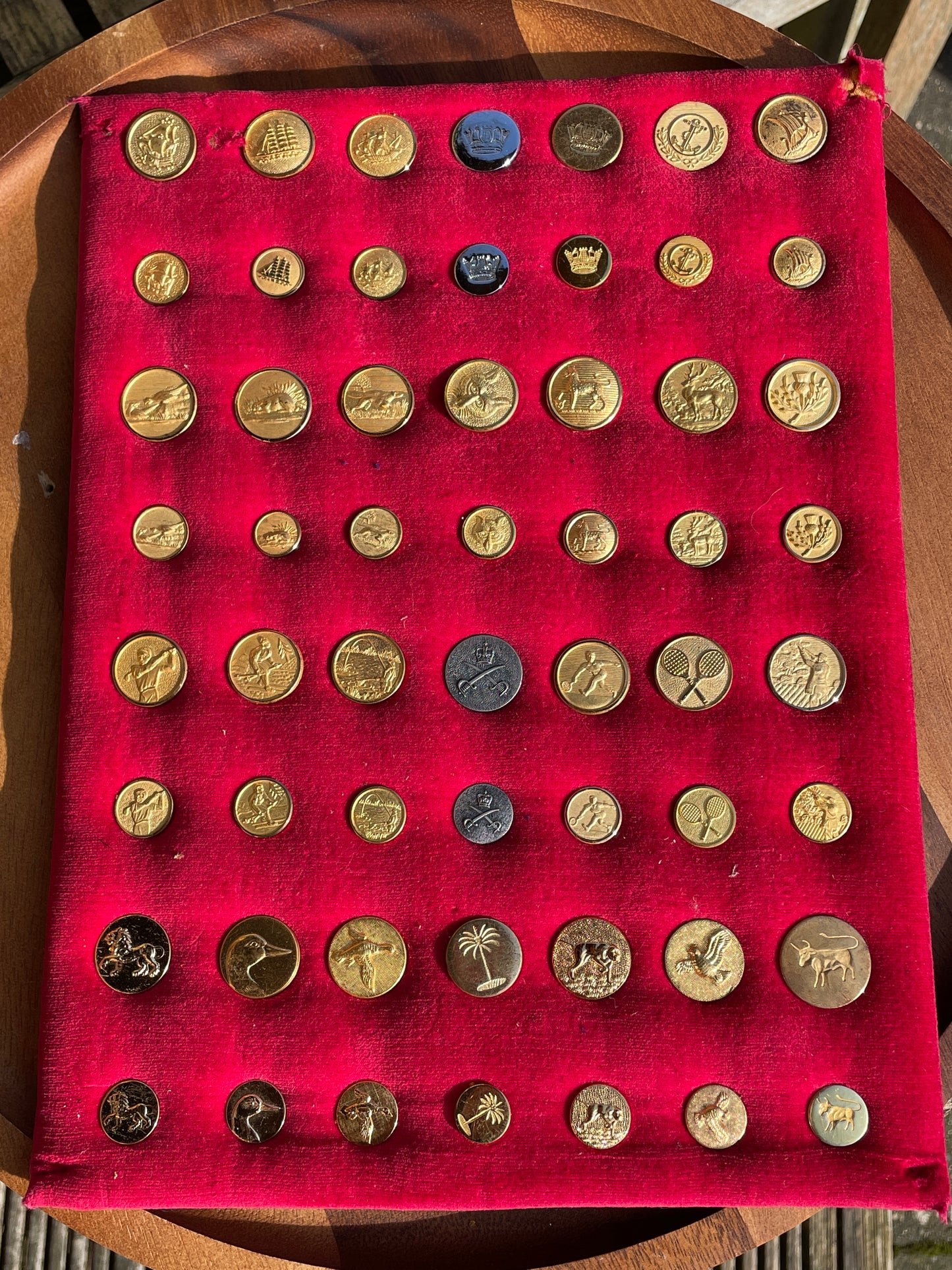 Large Lot Vintage Gilt Blazer Buttons Set c1950s–70s – Nautical, Crown, Animal & Sports Designs, Mixed Sizes on Velvet Display Board