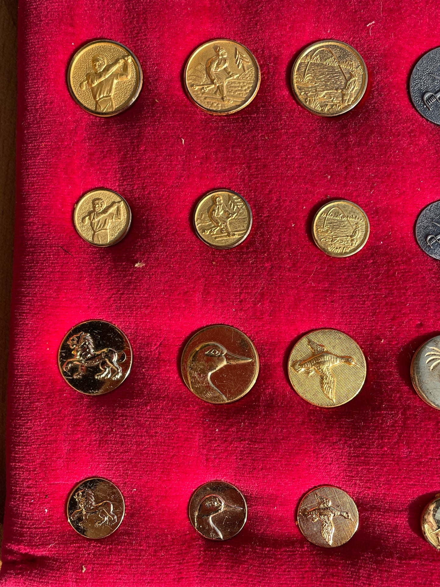 Large Lot Vintage Gilt Blazer Buttons Set c1950s–70s – Nautical, Crown, Animal & Sports Designs, Mixed Sizes on Velvet Display Board