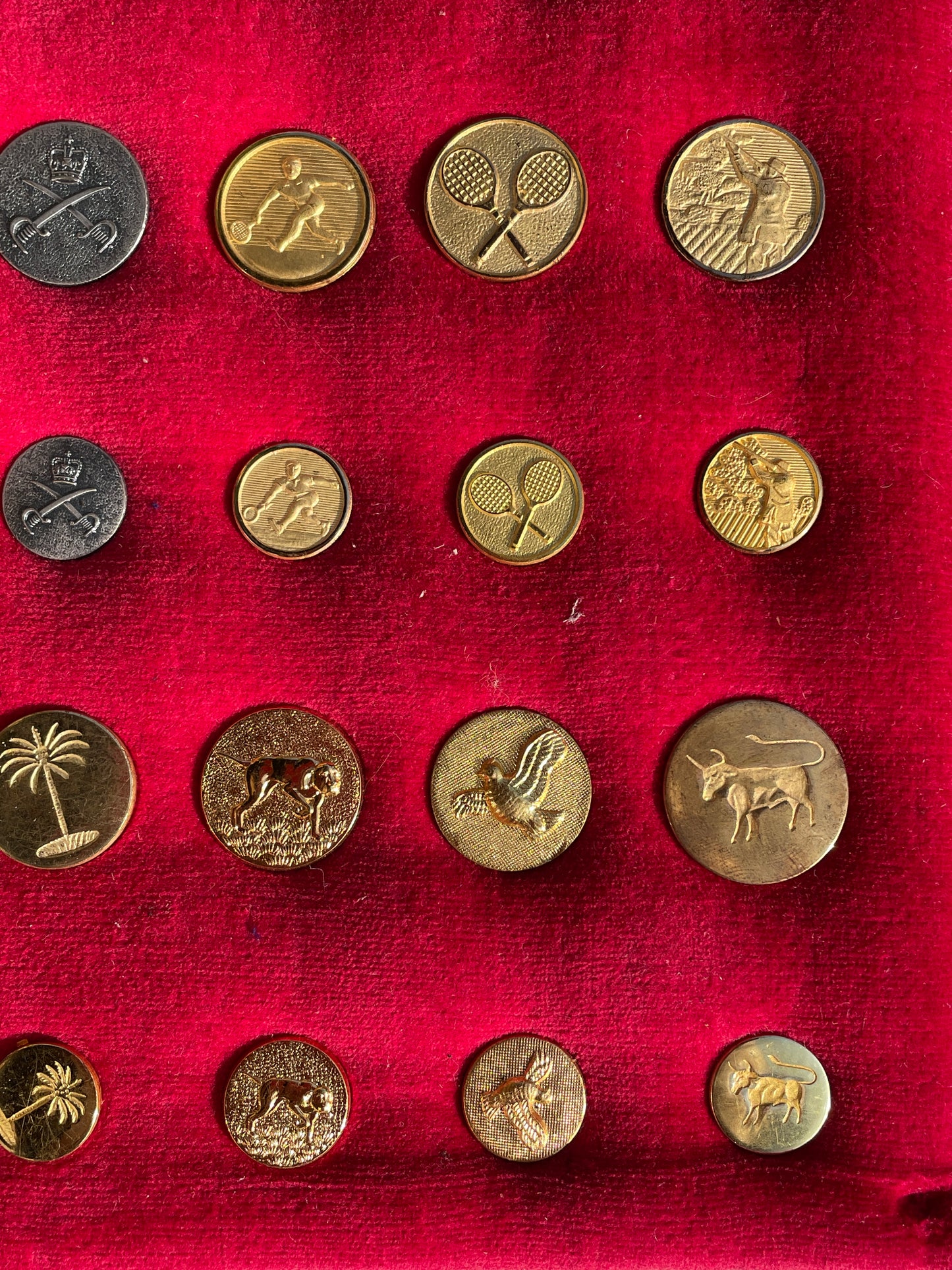 Large Lot Vintage Gilt Blazer Buttons Set c1950s–70s – Nautical, Crown, Animal & Sports Designs, Mixed Sizes on Velvet Display Board