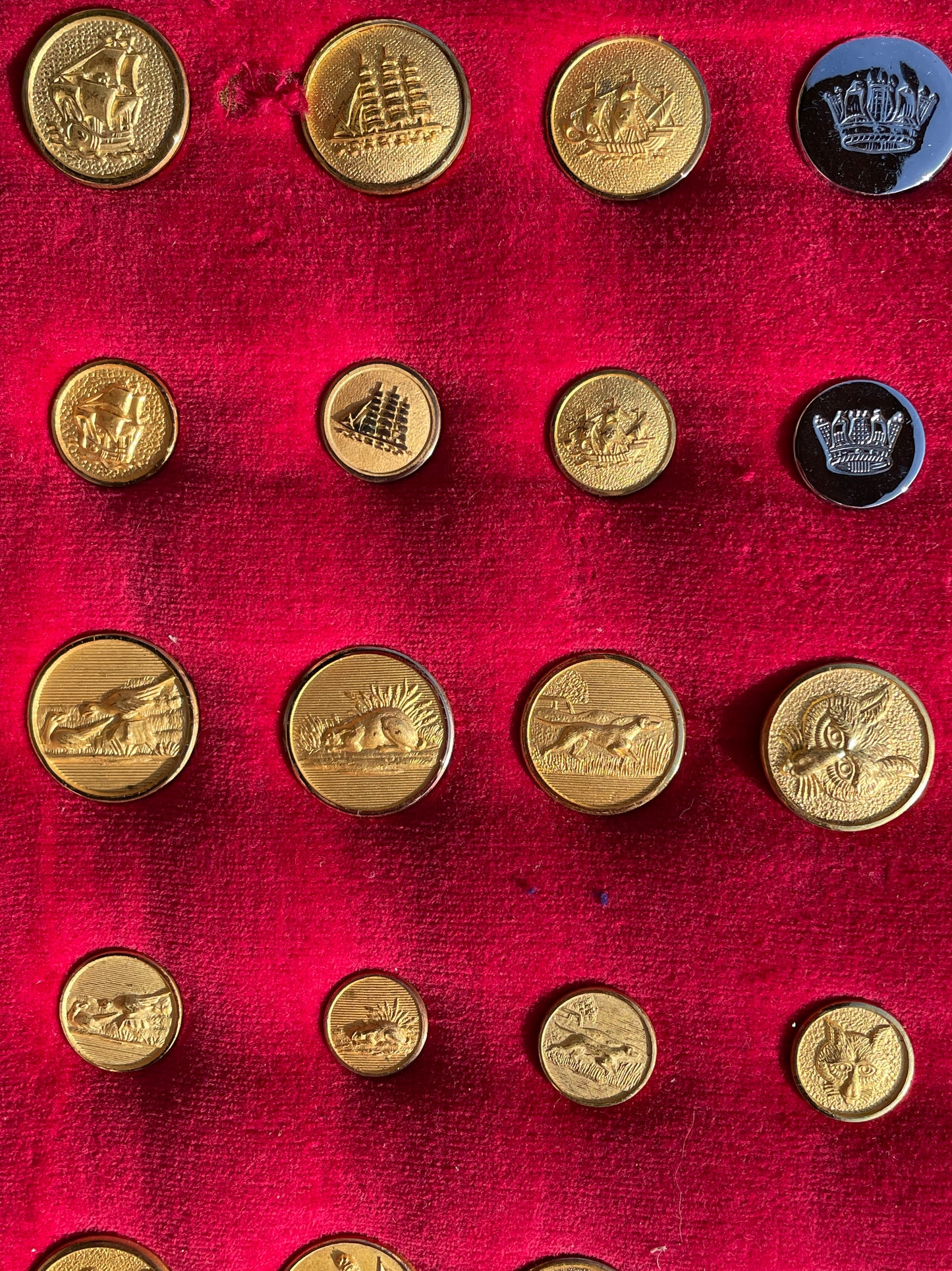 Large Lot Vintage Gilt Blazer Buttons Set c1950s–70s – Nautical, Crown, Animal & Sports Designs, Mixed Sizes on Velvet Display Board