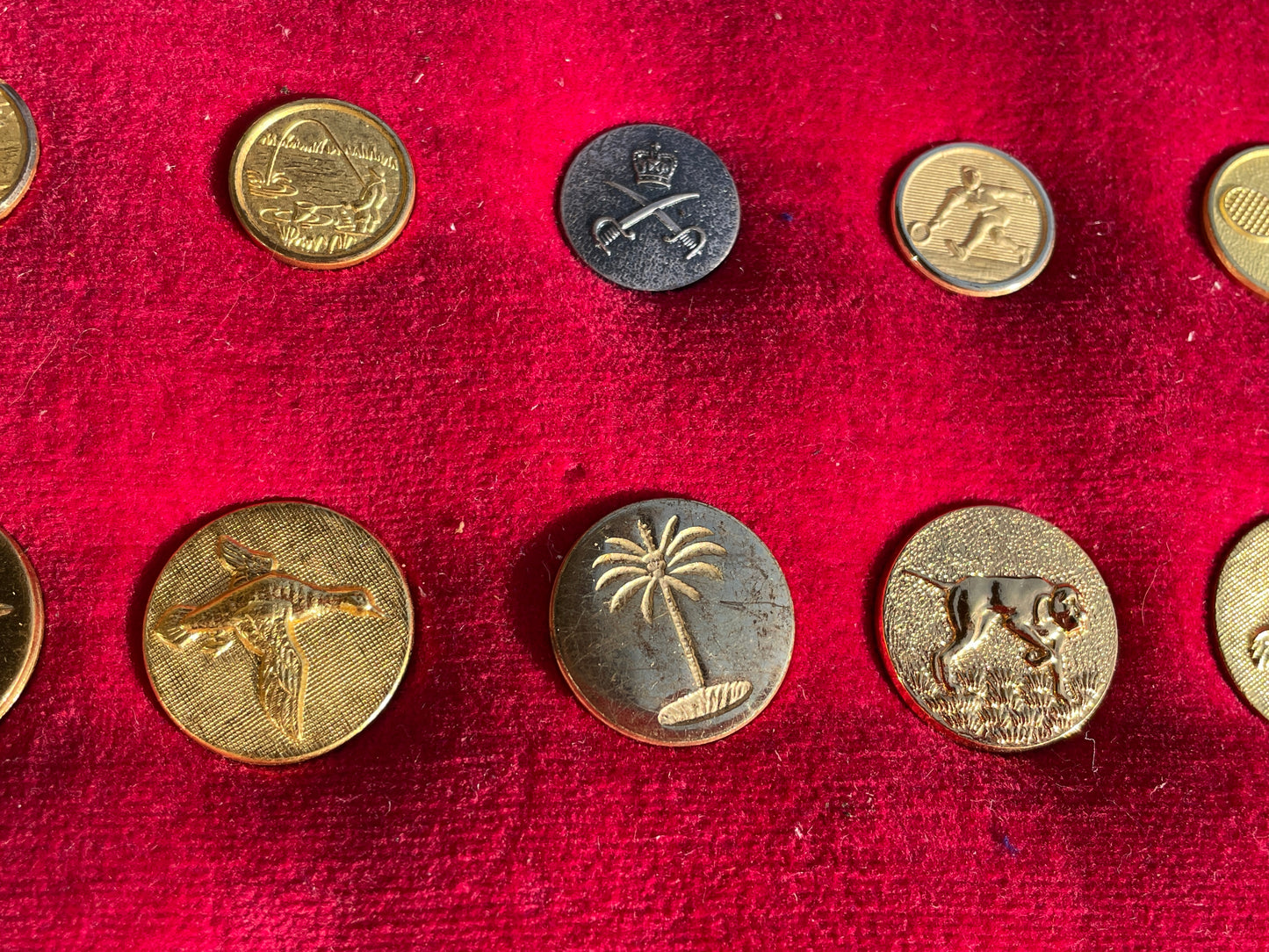 Large Lot Vintage Gilt Blazer Buttons Set c1950s–70s – Nautical, Crown, Animal & Sports Designs, Mixed Sizes on Velvet Display Board