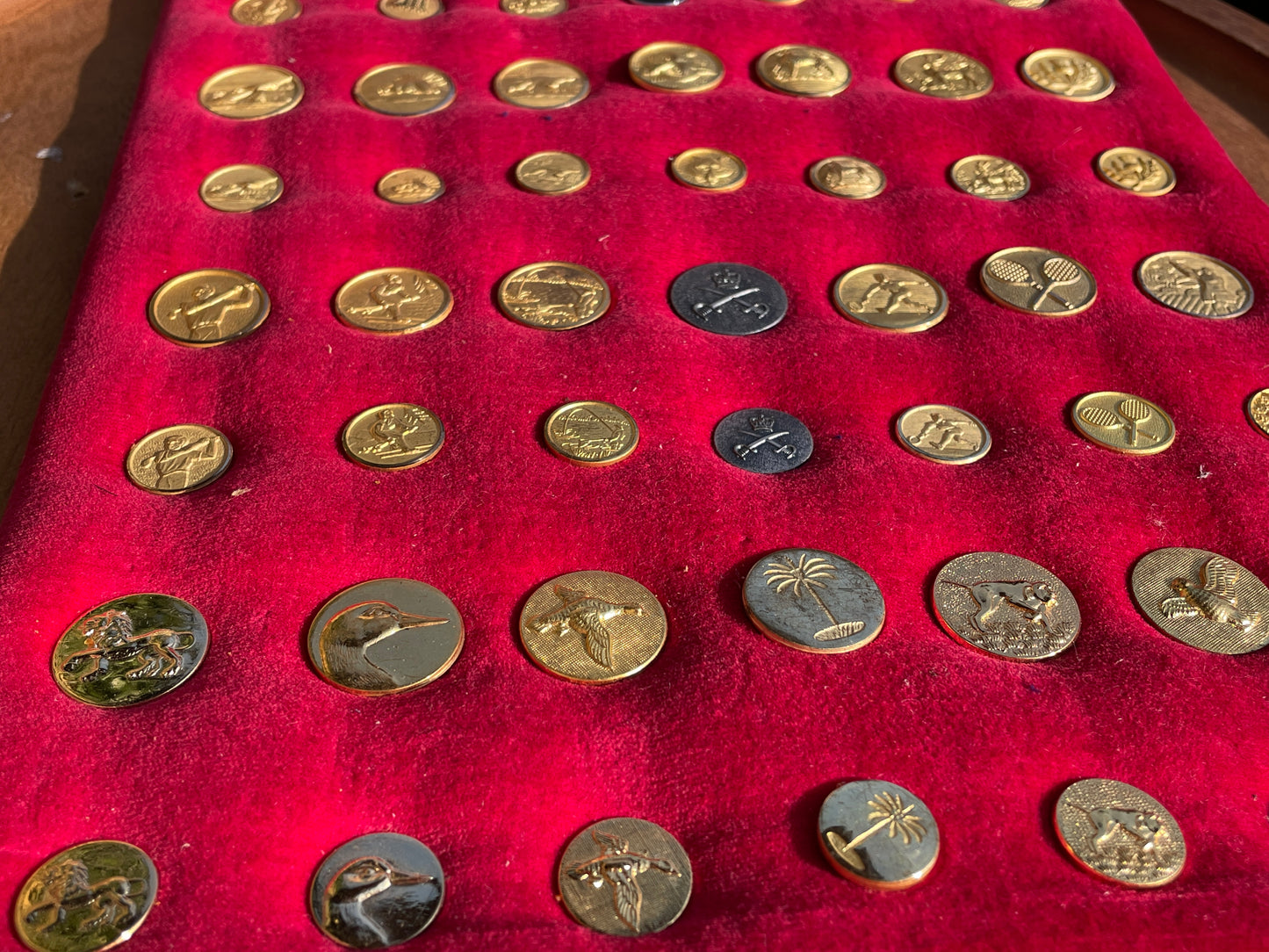 Large Lot Vintage Gilt Blazer Buttons Set c1950s–70s – Nautical, Crown, Animal & Sports Designs, Mixed Sizes on Velvet Display Board