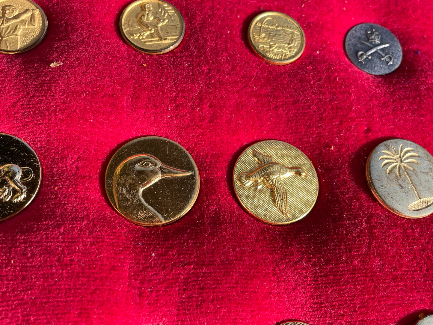 Large Lot Vintage Gilt Blazer Buttons Set c1950s–70s – Nautical, Crown, Animal & Sports Designs, Mixed Sizes on Velvet Display Board
