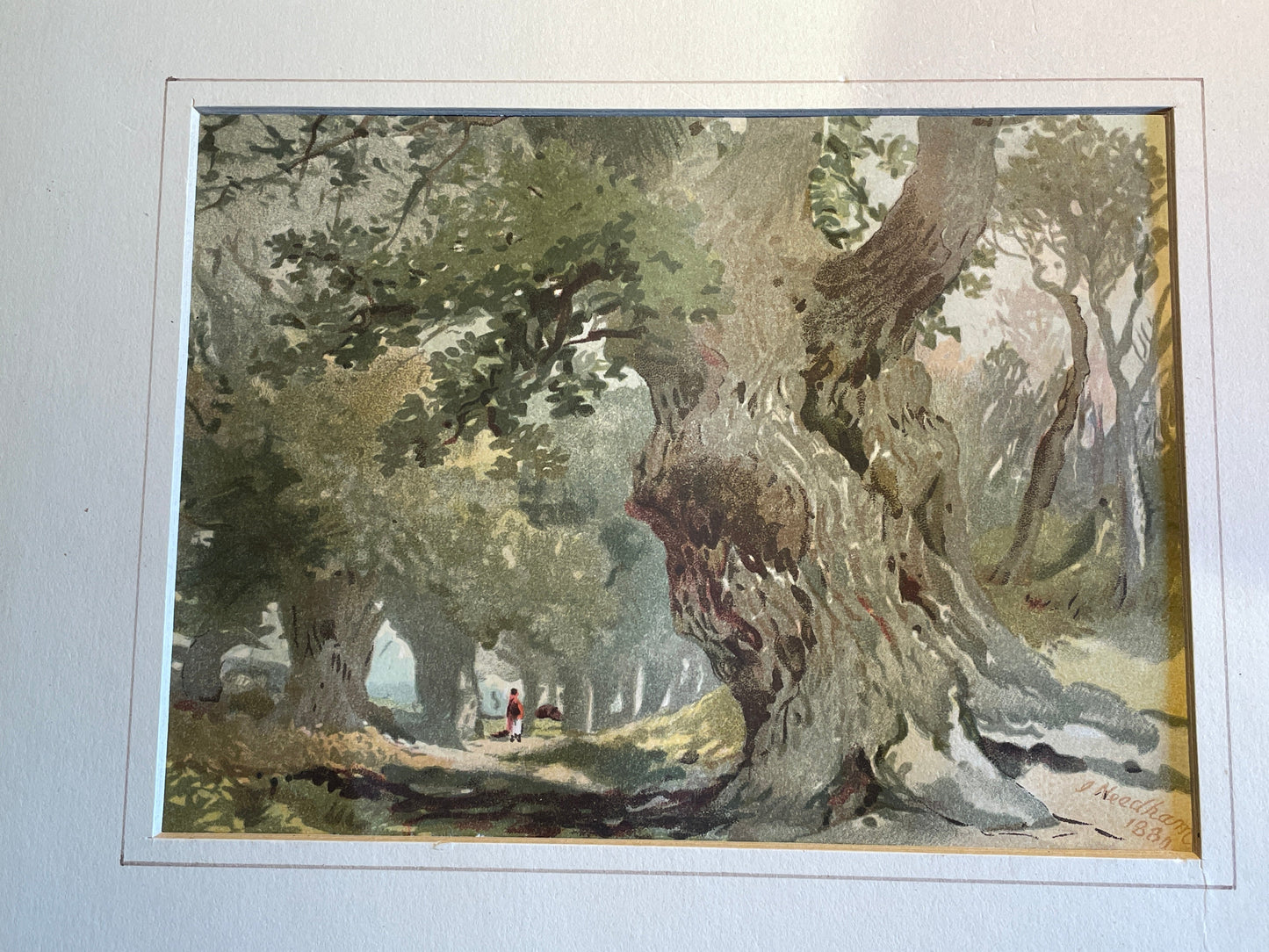Original signed and framed Watercolour of Sherwood Forest by Joseph Needham 1880 32x28cm frame