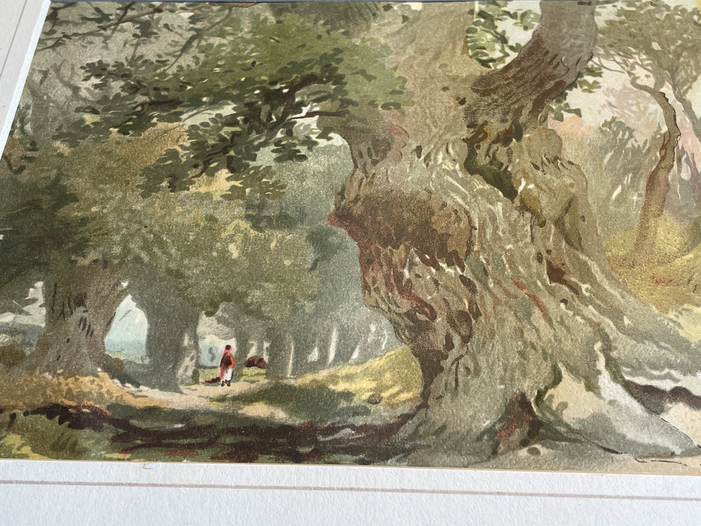 Original signed and framed Watercolour of Sherwood Forest by Joseph Needham 1880 32x28cm frame