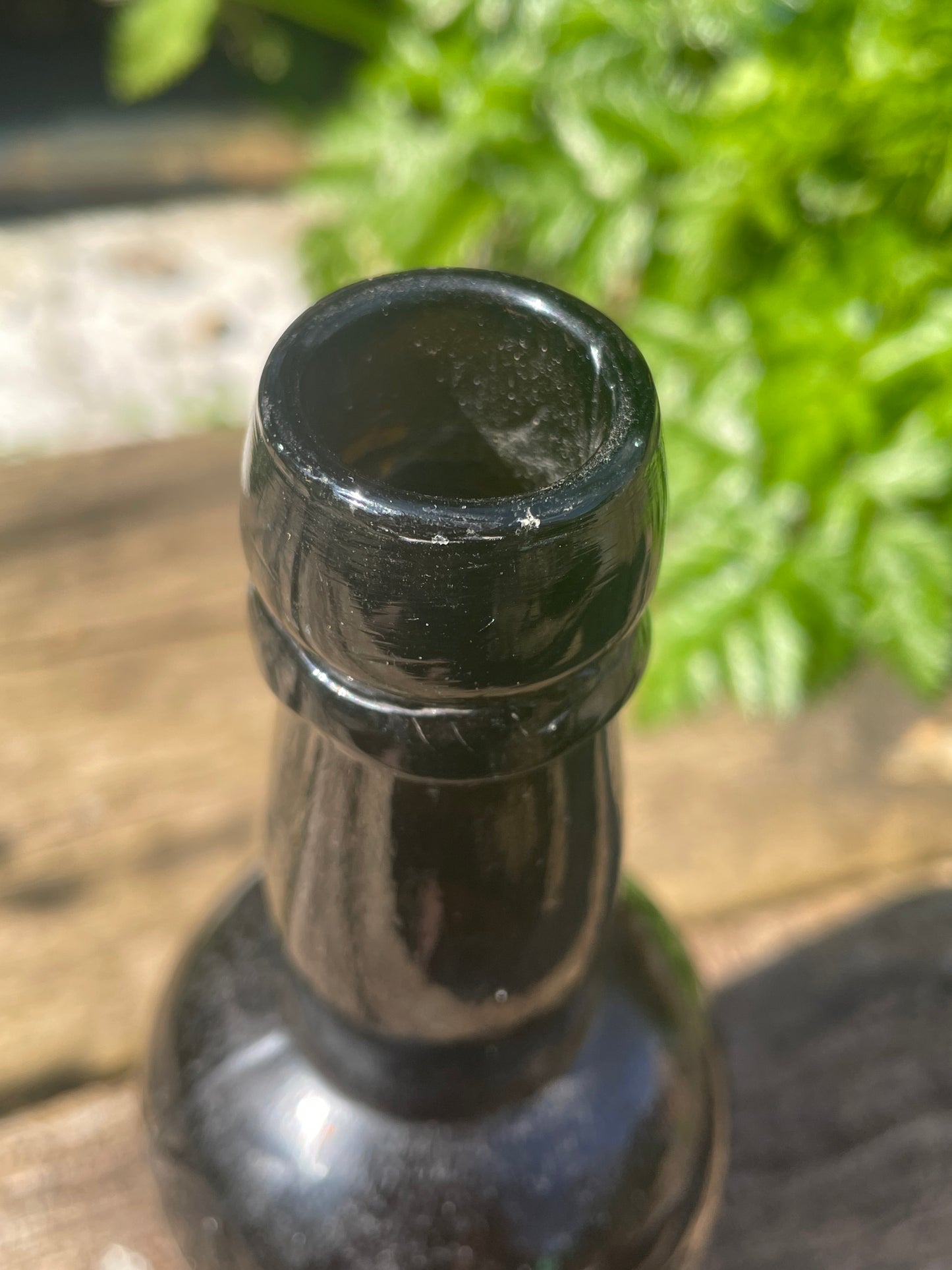 Rare F. Bradford Newcastle registered trade mark three fish beer bottle 21cm tall 1890's