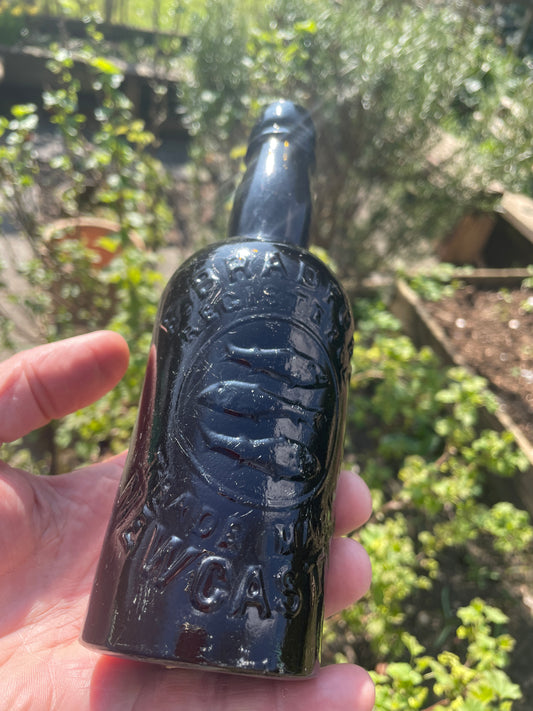 Rare F. Bradford Newcastle registered trade mark three fish beer bottle 21cm tall 1890's
