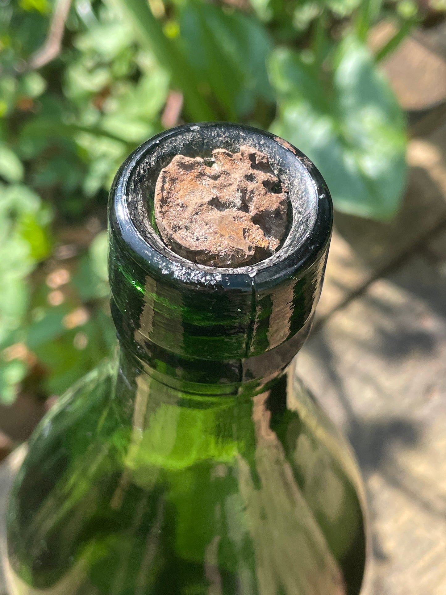 Large Vintage Hancocks Swansea green beer bottle 30cm tall