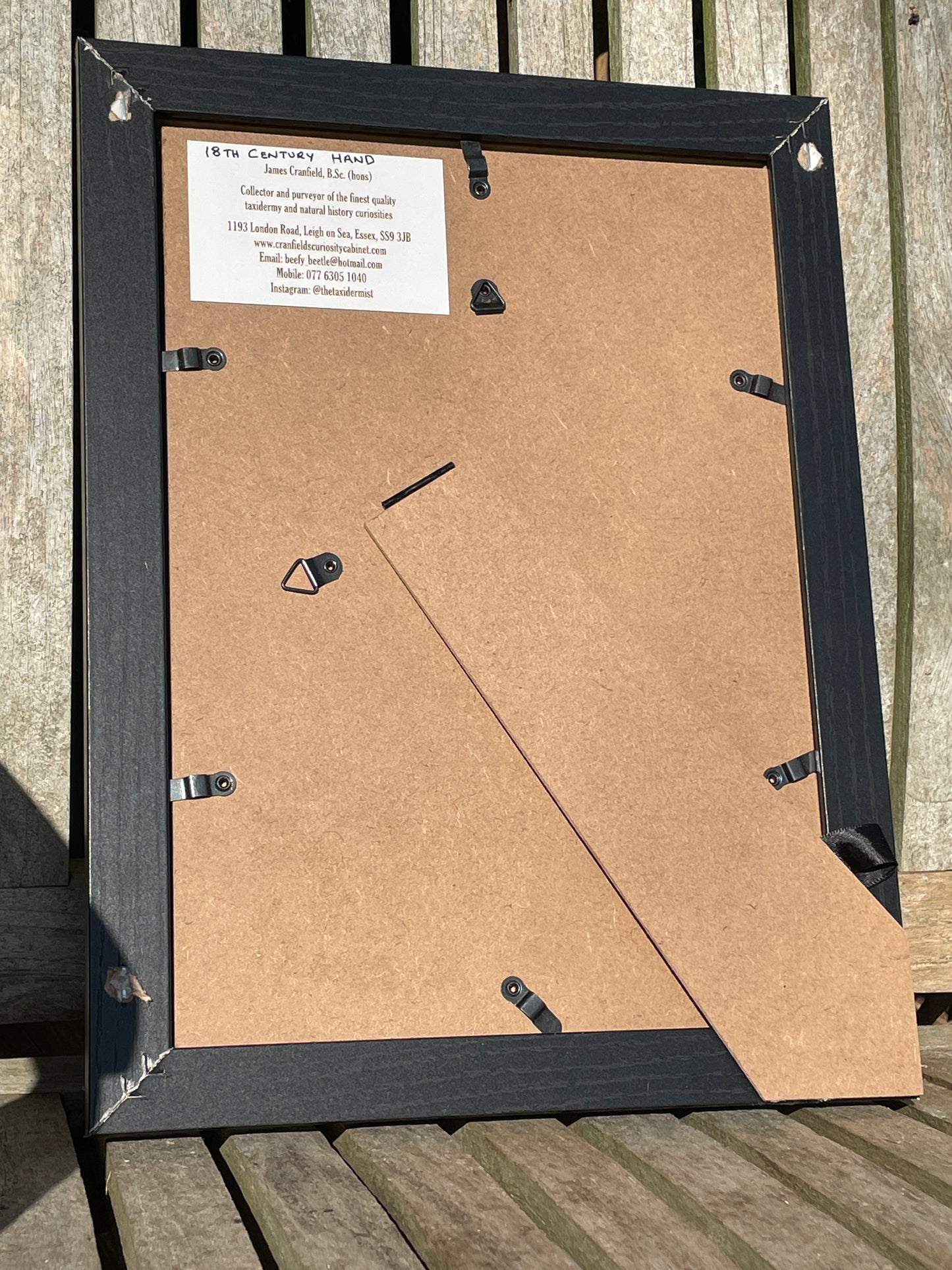 Anatomical print of photograph of an 18th century hand  from curios collector James Cranfield UK