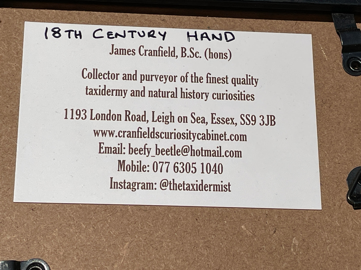 Anatomical print of photograph of an 18th century hand  from curios collector James Cranfield UK
