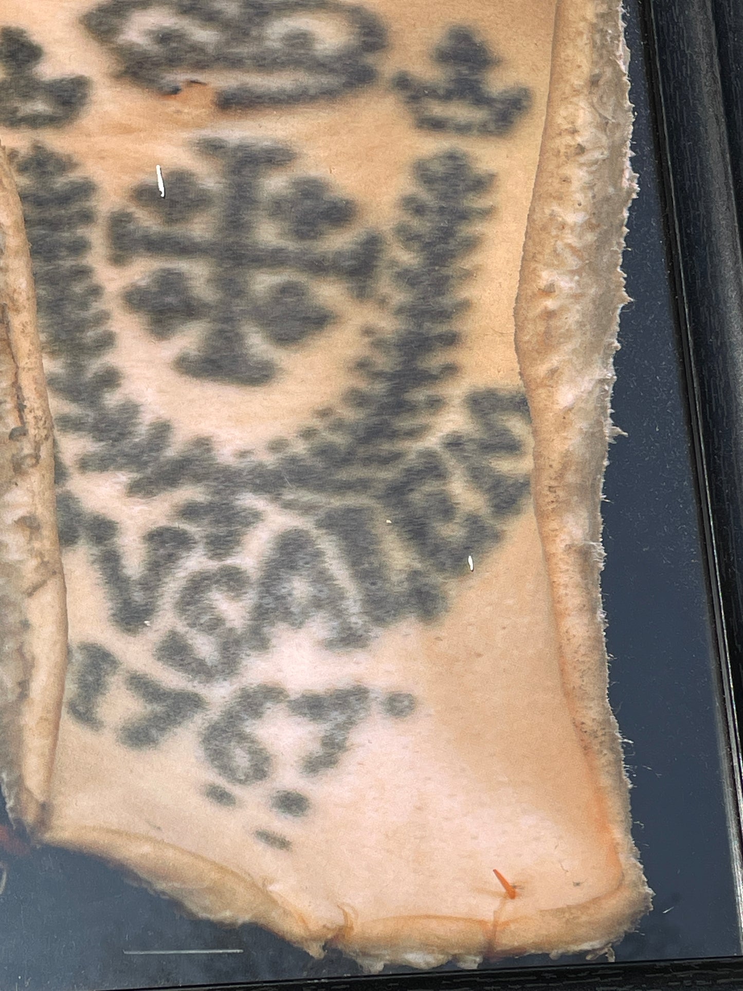 Anatomical prints of images of a Tattoo from curios collector James Cranfield UK