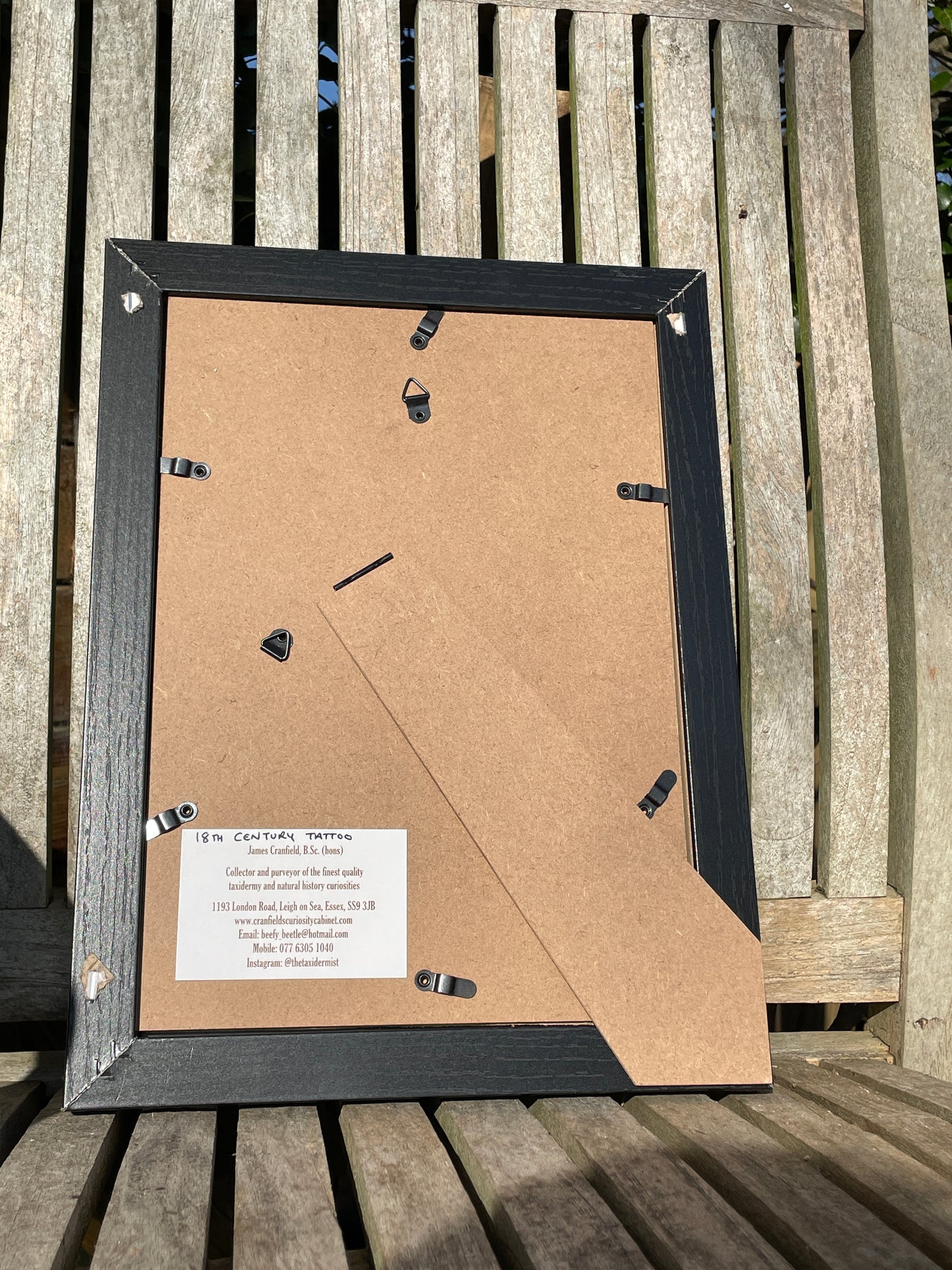 Anatomical prints of images of a Tattoo from curios collector James Cranfield UK