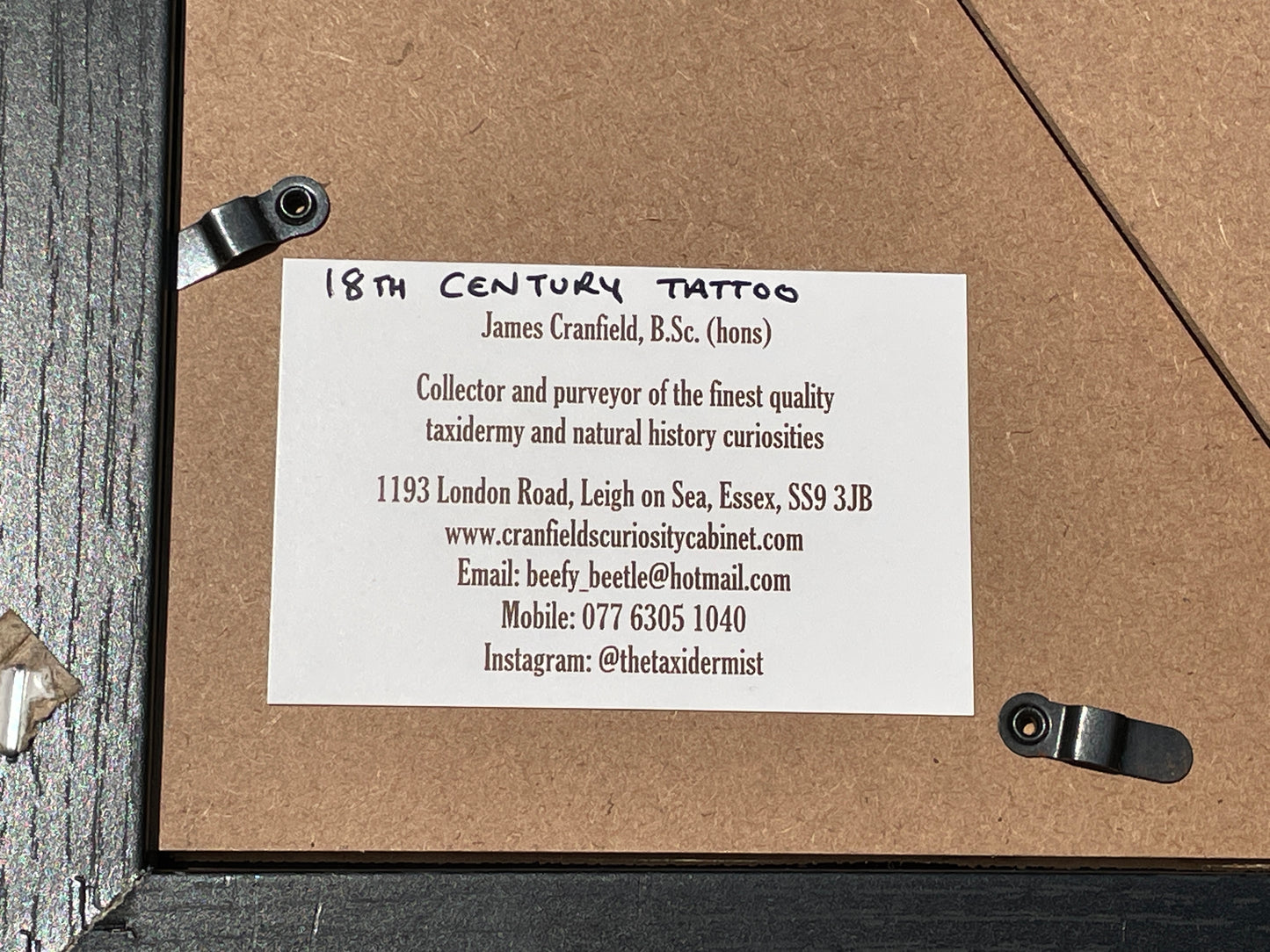 Anatomical prints of images of a Tattoo from curios collector James Cranfield UK