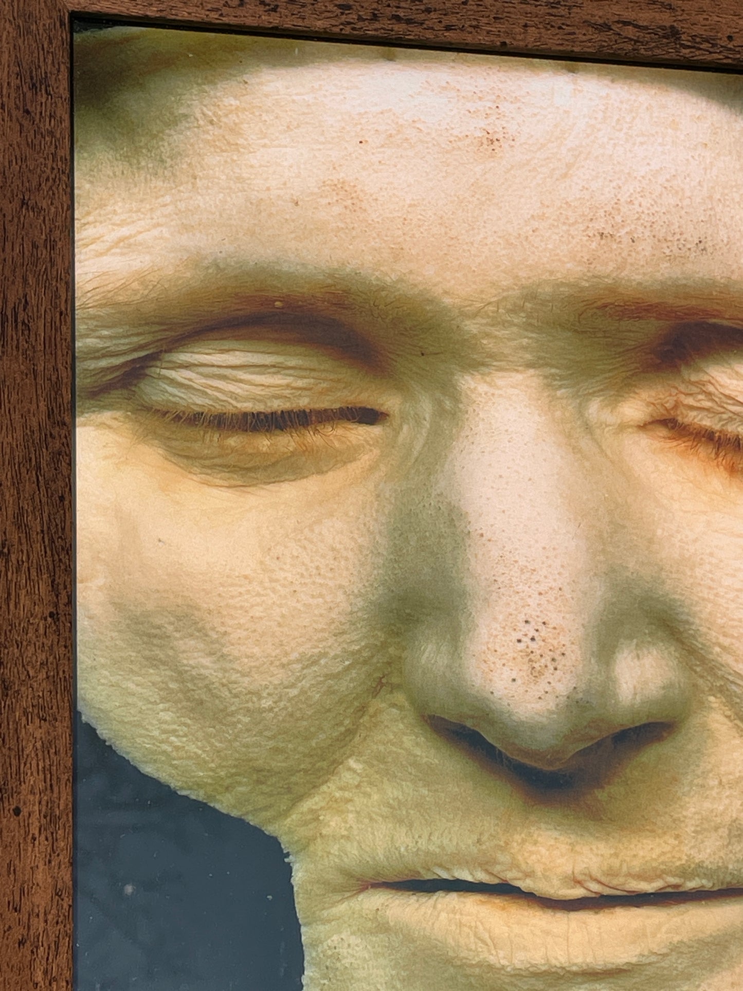 Anatomical print of image of a face from curios collector James Cranfield UK