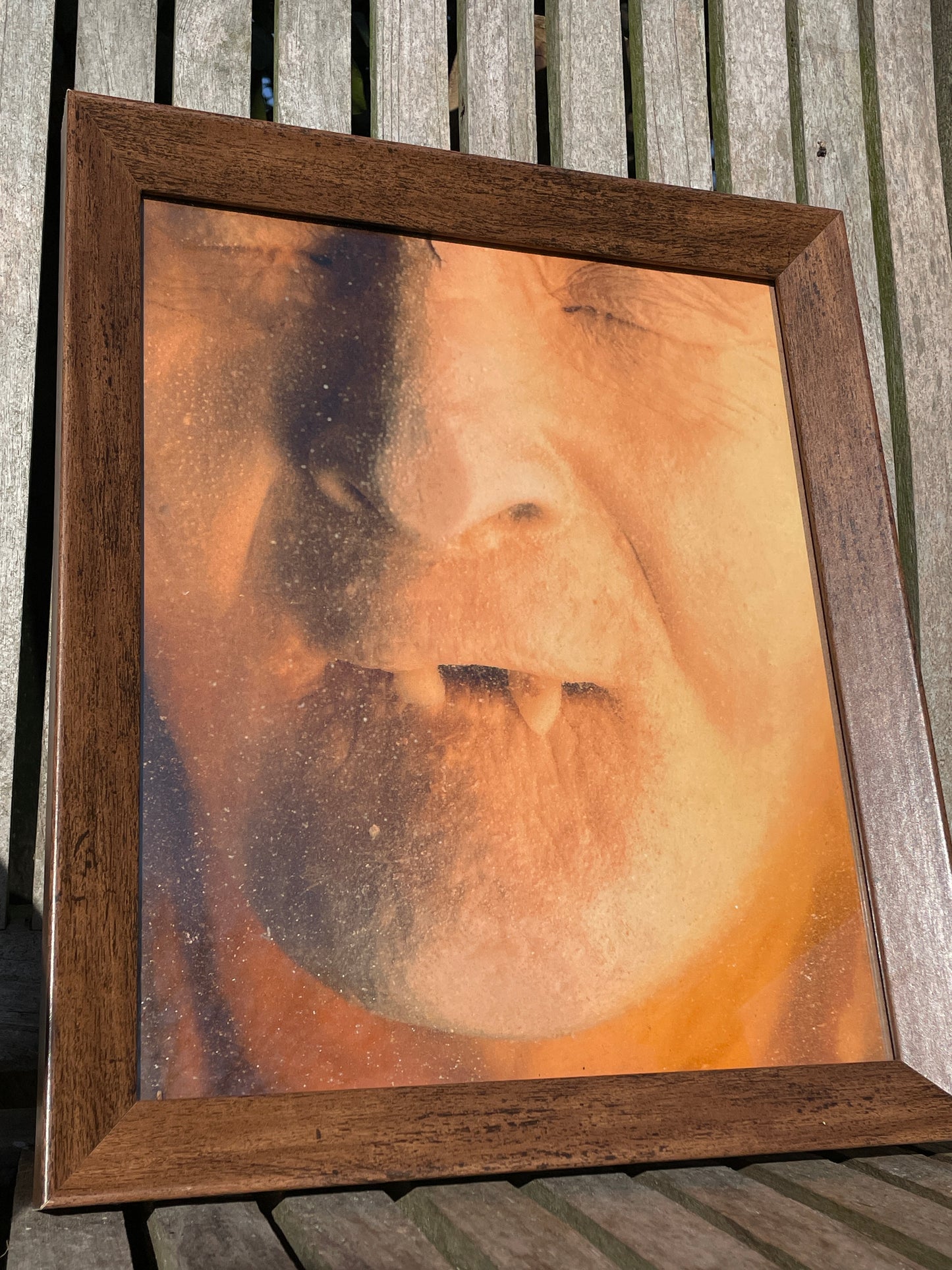 Anatomical print of image of a fanged face from curios collector James Cranfield UK