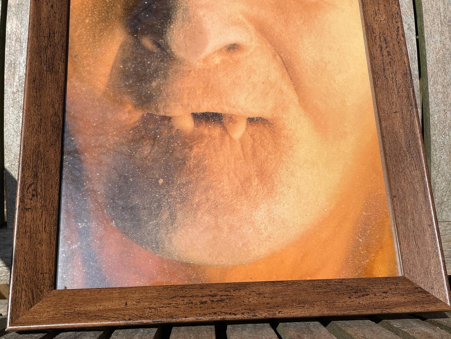 Anatomical print of image of a fanged face from curios collector James Cranfield UK