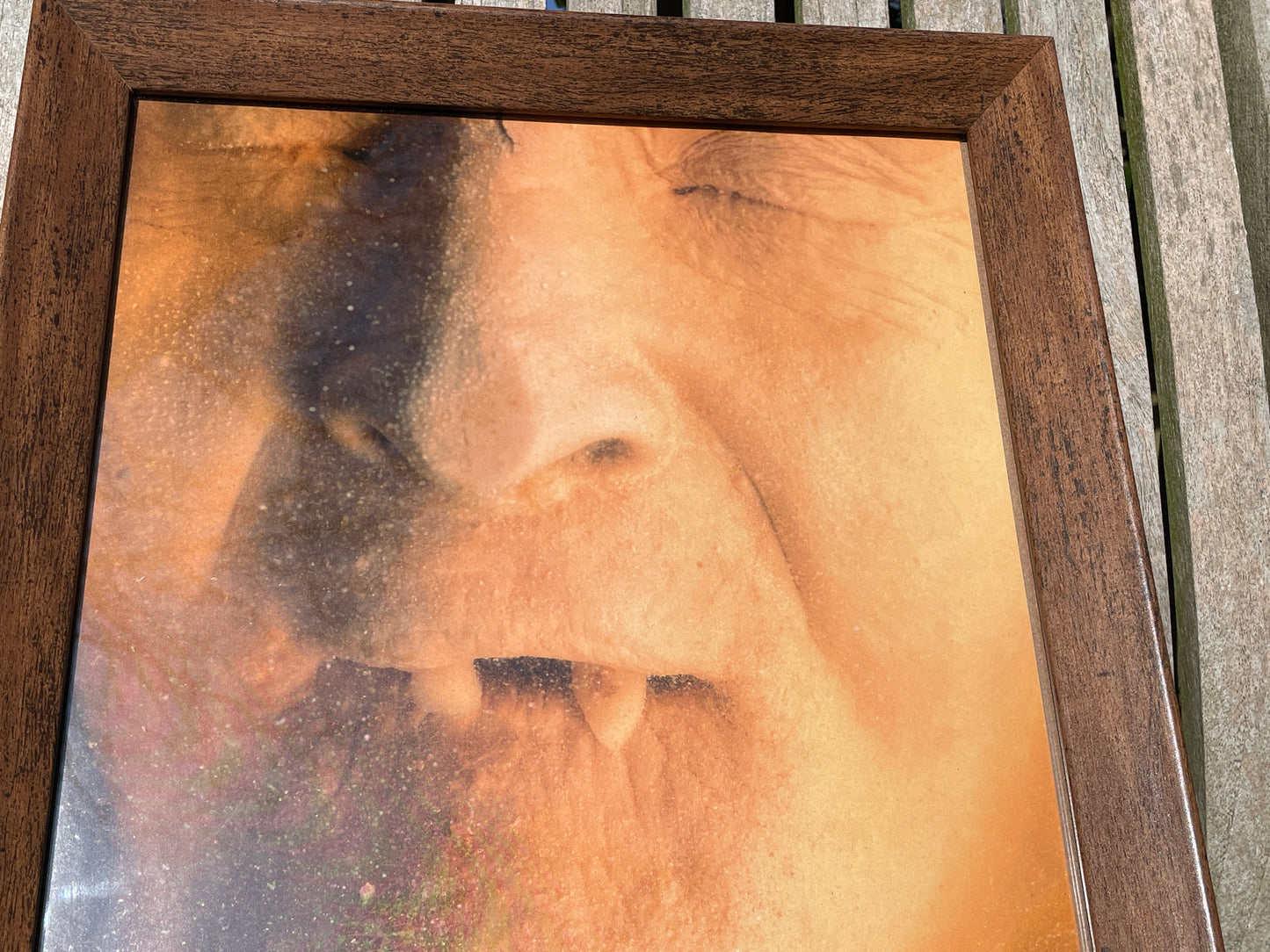 Anatomical print of image of a fanged face from curios collector James Cranfield UK