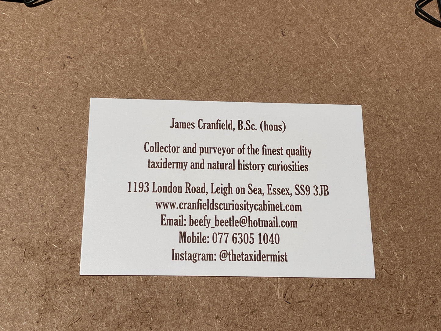 Anatomical print of image of a fanged face from curios collector James Cranfield UK