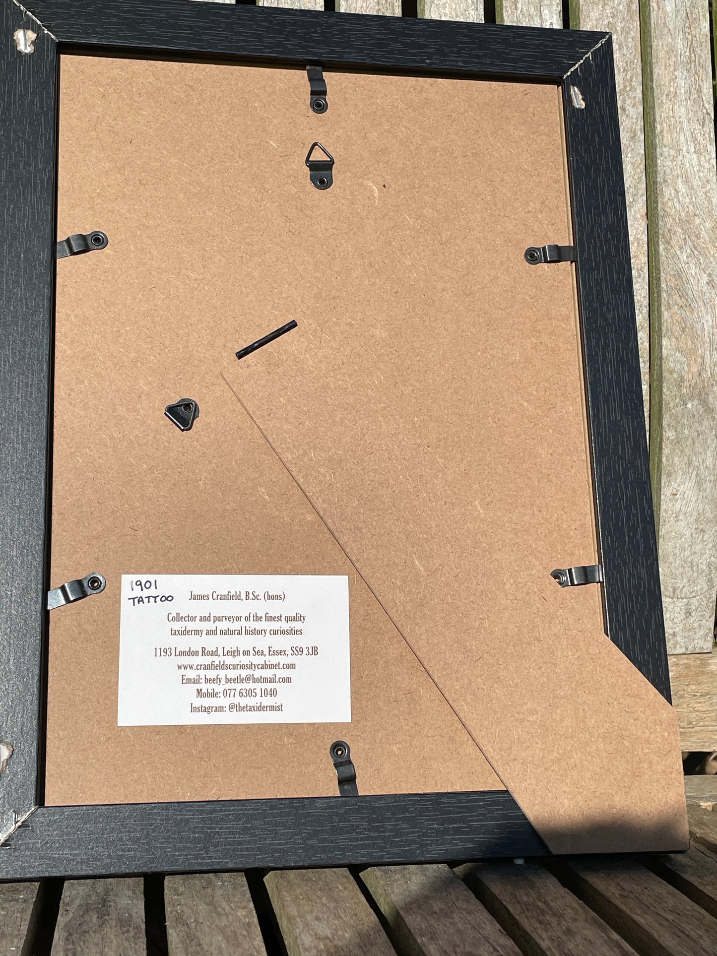 Anatomical print of image of an 18t century tattoo from curios collector James Cranfield UK