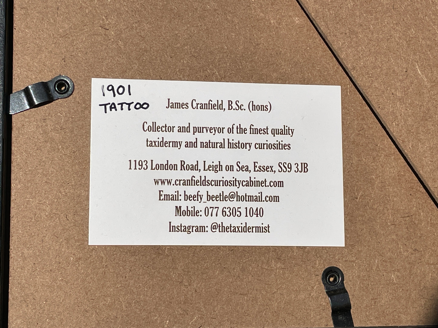 Anatomical print of image of an 18t century tattoo from curios collector James Cranfield UK