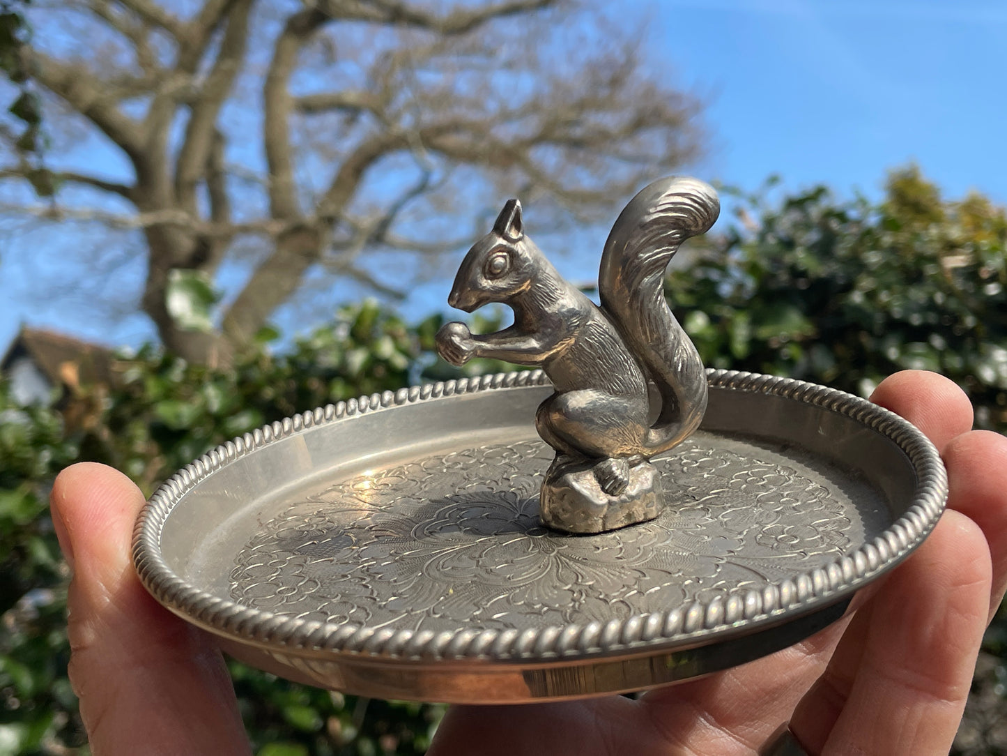 Seba Silver plated ZBA squirrel trinket, ring, ear ring, jewellery tray