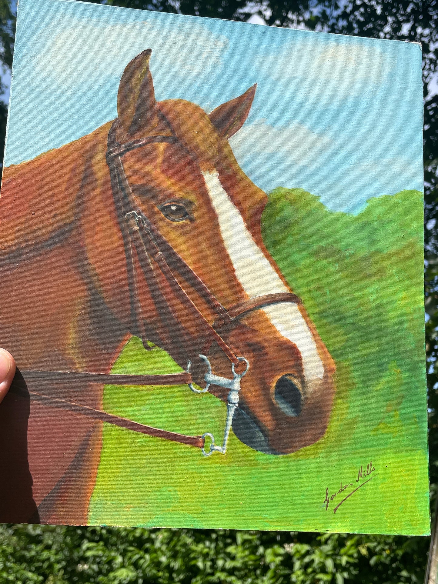 Original Horse Portrait Oil Painting by Gordon Mills Equestrian Wall Art