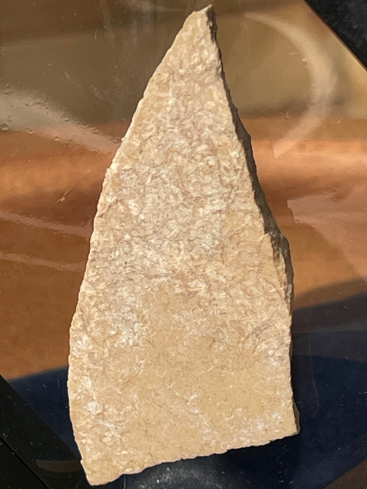 A fragment of an extinct Aepyornis or elephant bird eggshell in membrane display frame from a Sussex Collection