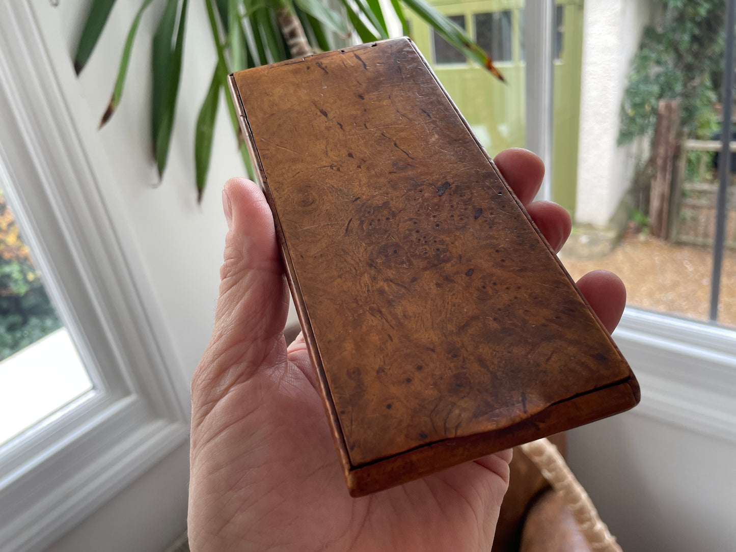 Antique Burr Wood Cigar Case – Hand-Carved Hinged Lid in Figured Burr Timber (c.19th Century)