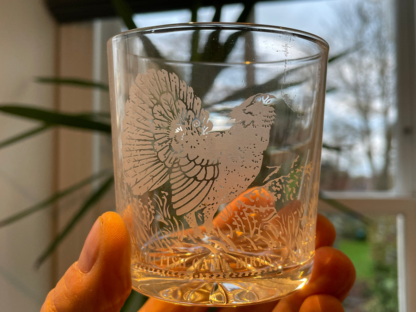 Vintage Scottish Edinburgh Crystal Whisky Tumblers – “Scottish Game Birds” Engraved Cut Crystal Set of Four (c.1980s–1990s)