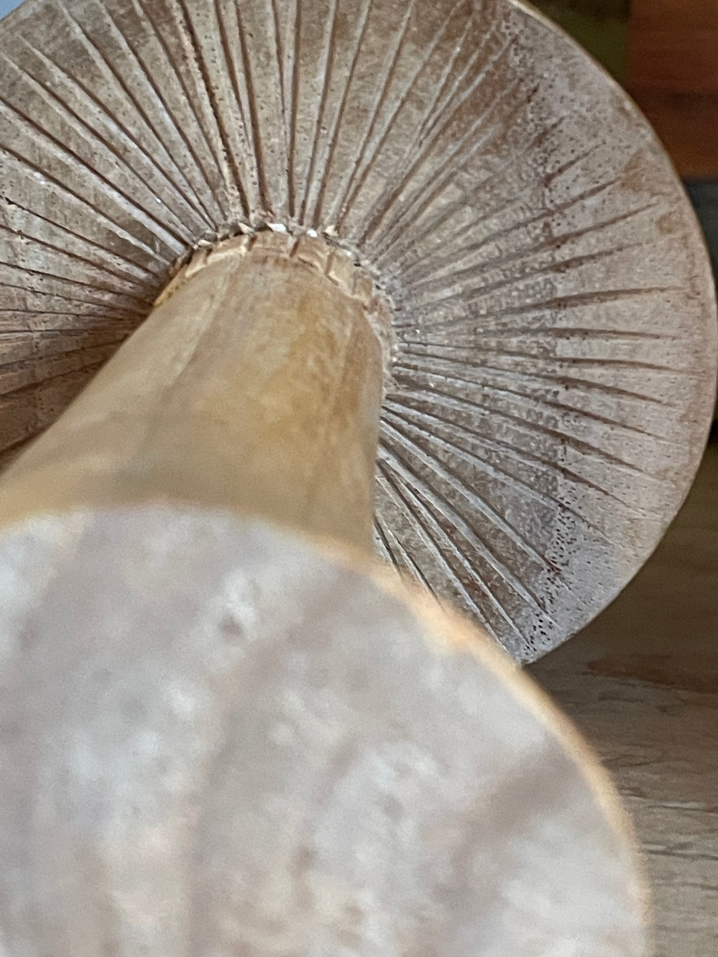 Vintage Scandinavian Folk Art Carving – Mouse on Mushroom (c.1950s–70s)