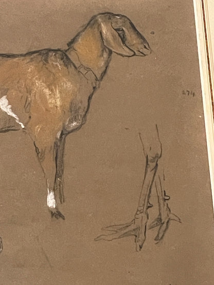 Antique British Pastel and Chalk Study – Animal Sketches on Brown Paper (c1900)