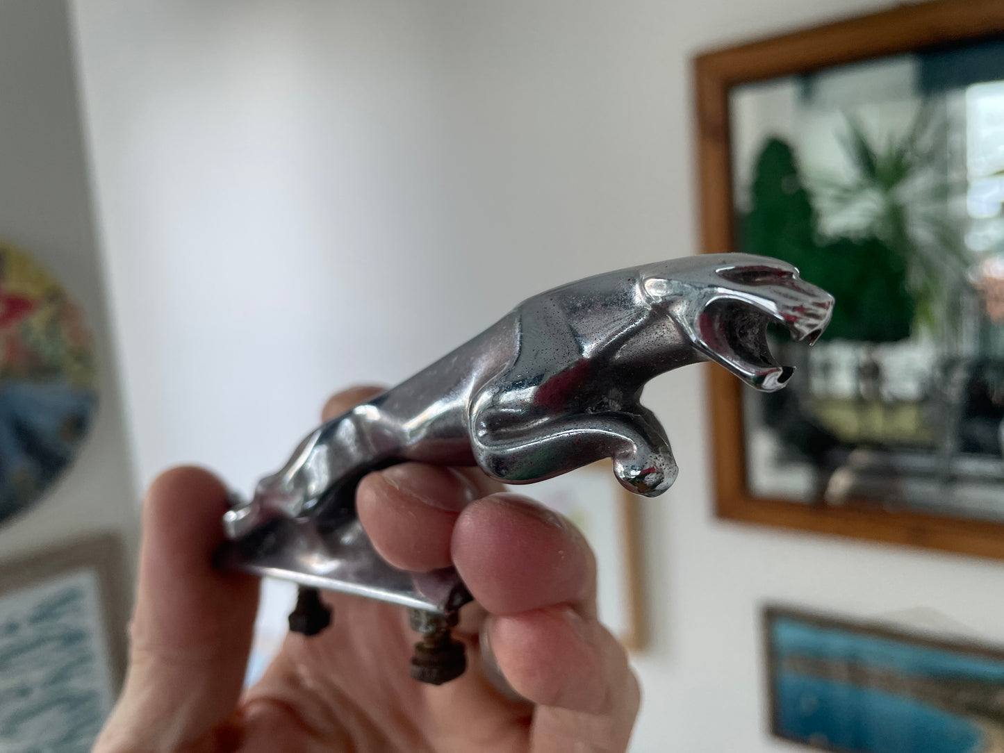 Vintage Jaguar Chrome Leaping Cat Bonnet Mascot – Wilmot Breeden 7 24265 2WB Original