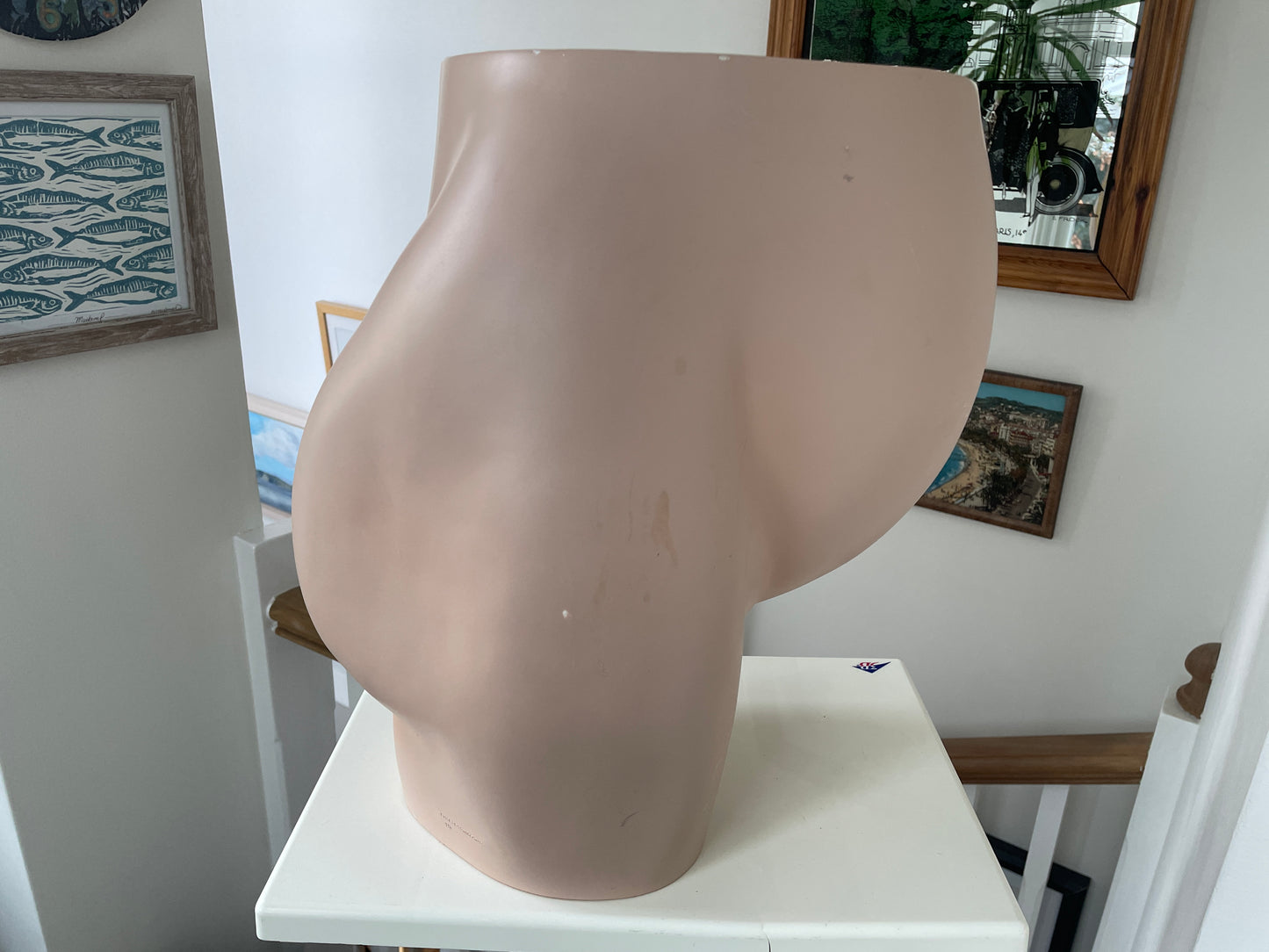 Vintage Medical Teaching Model – Pregnant Female Anatomy with Removable Foetus Childbirth Model