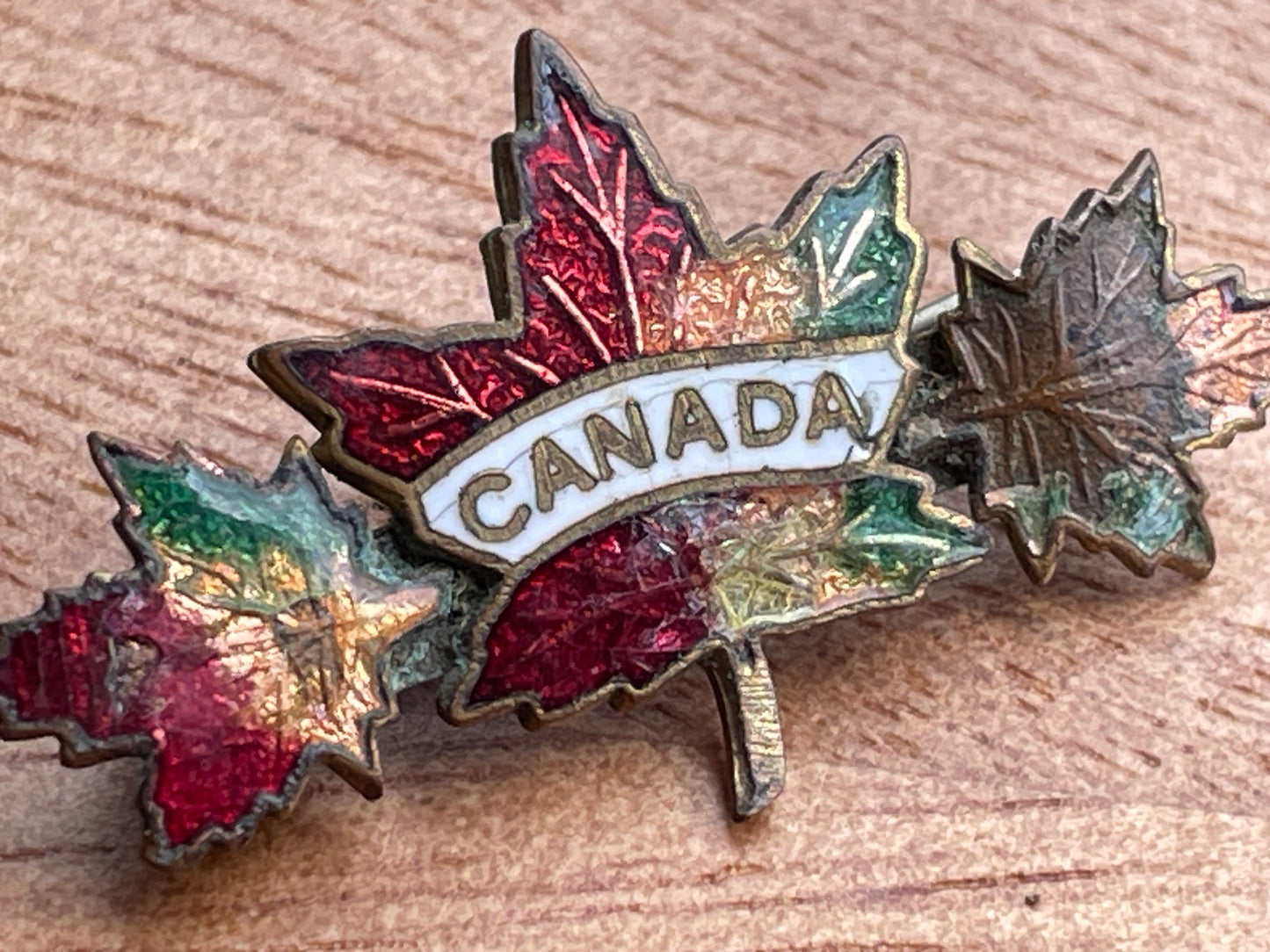 Vintage brass Canada maple leaf pin badge 3.5cm wide