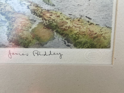 James Priddey (1916 – 1980)signed Artist proof - inscribed in pencil colour etching titled Pemaen Pool