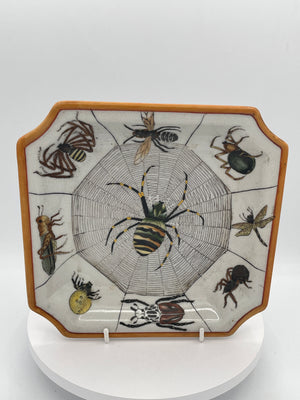 Chinese Earthenware Plate with Spider & Insect Decoration – 20cm