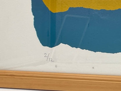 Gail Altschuler 'First Light I' Signed Limited Edition Silkscreen Monoprint 2/12 Framed Abstract Artwork