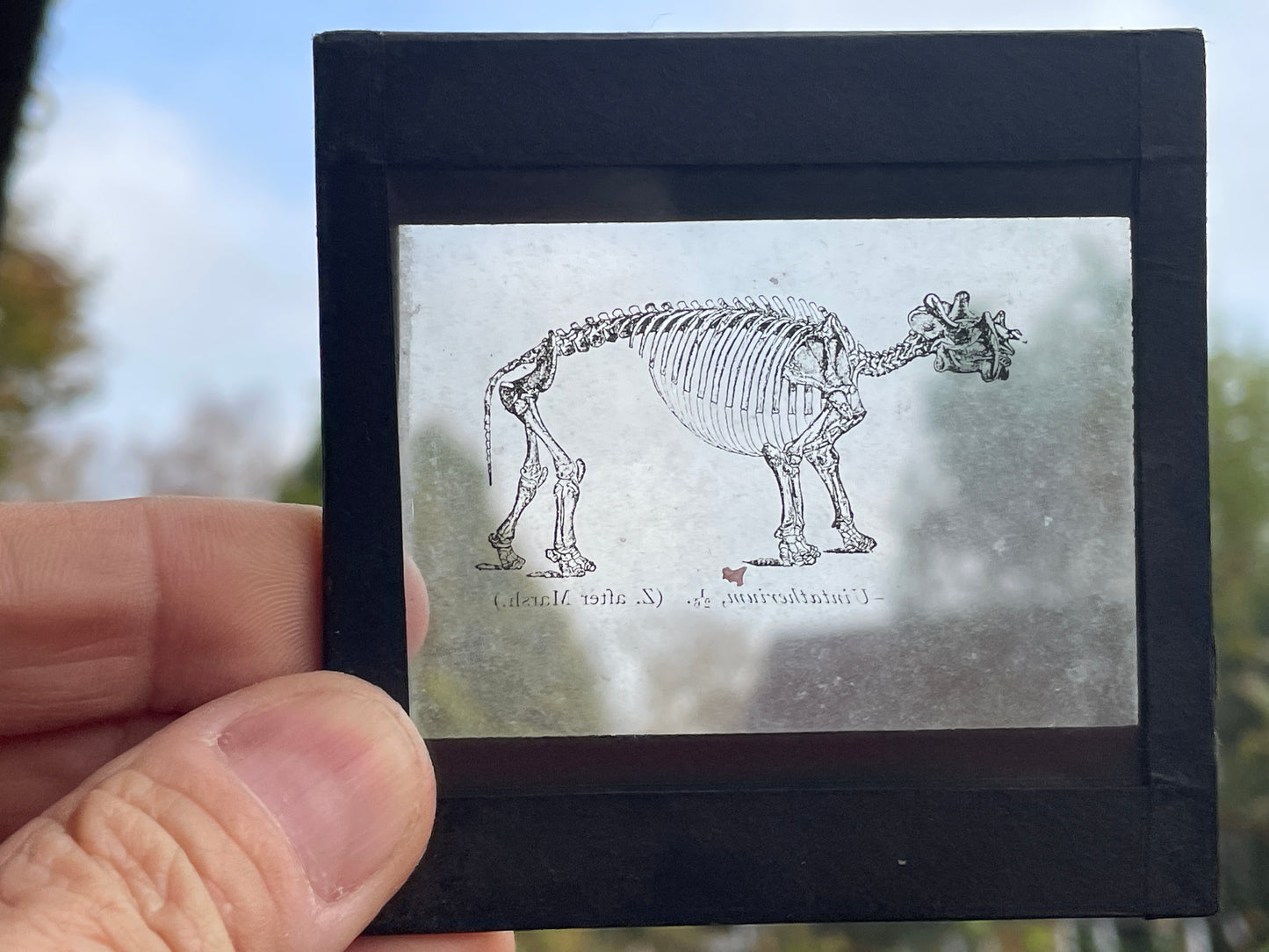 Four Victorian glass disc magic lantern colour slides