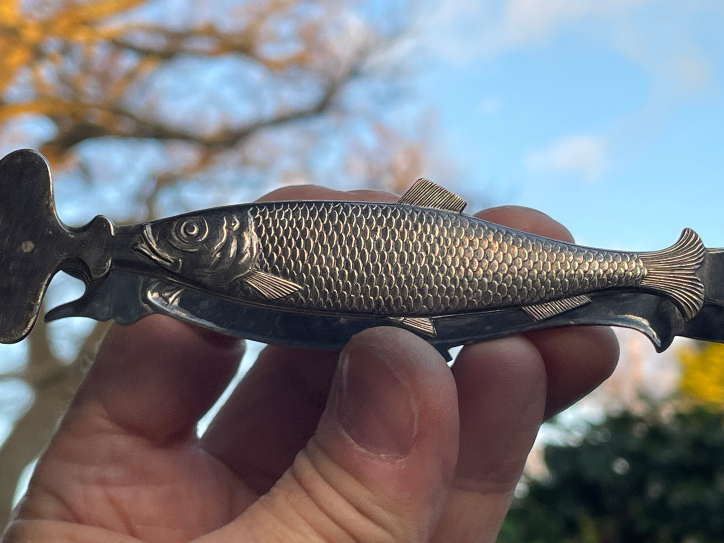 Pair of antique sardine tongs or servers in the shape of a sardine fish 11cm long