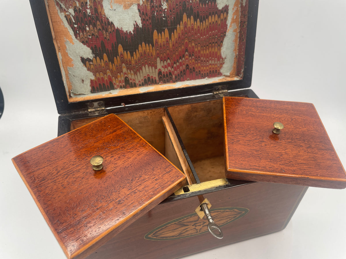 George III Inlaid Mahogany Rectangular Tea Caddy – Inlaid Patera Motifs & Twin Compartments c1790