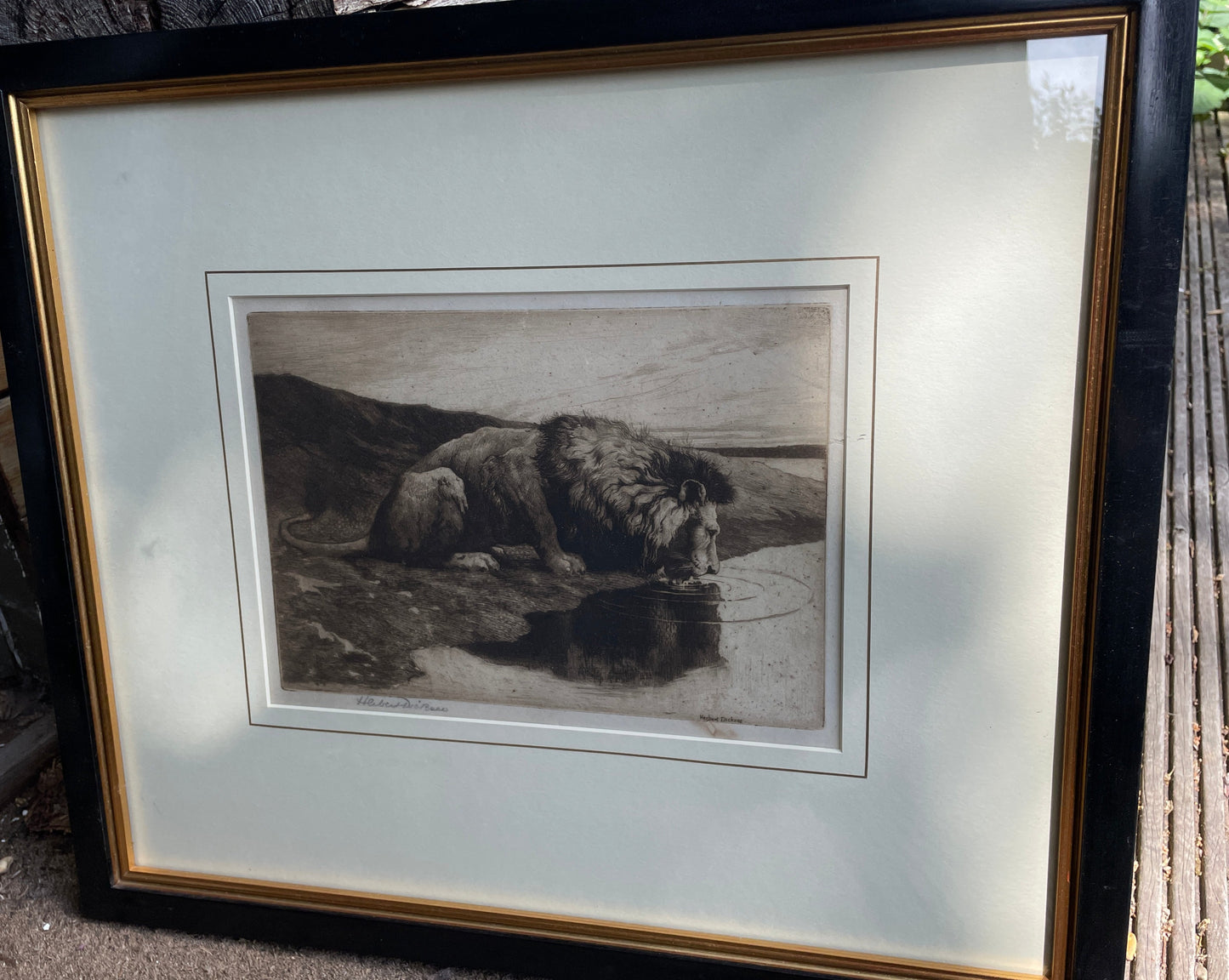 A Framed and Signed Etching by Herbert Dicksee Called Lion Drinking 1890 18x25cm